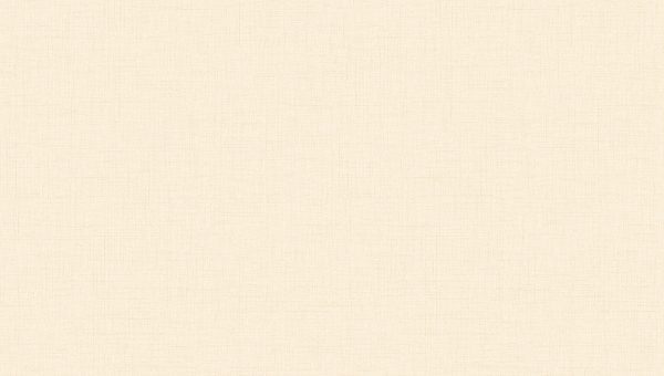 WPR CANVAS 81369-2 HAL 55