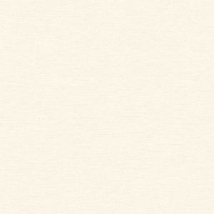 WPR CANVAS 81371-1 HAL 43