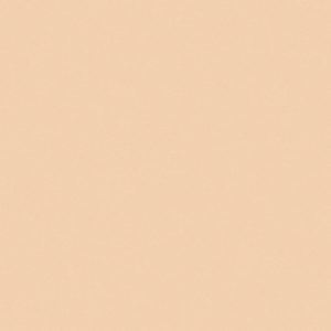 WPR PEANUTS 83201-6 HAL 26