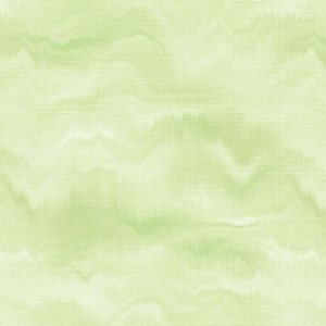 WPR CARNIVAL 81336-4 HAL 21